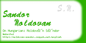 sandor moldovan business card